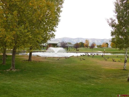 A tranquil park scene is presented, showcasing a pond with a fountain at its center. Surrounding trees with autumn leaves frame the view, while several geese are seen grazing on the lush green grass. Rolling hills provide a scenic backdrop.