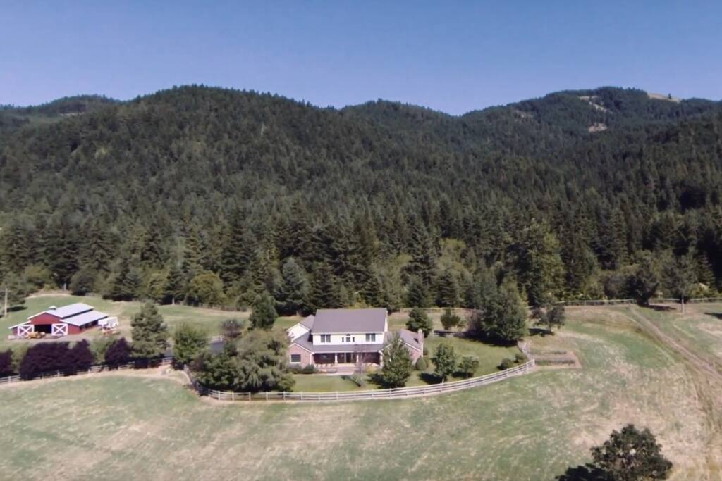 The house & barn from above, with the property's forest behind.