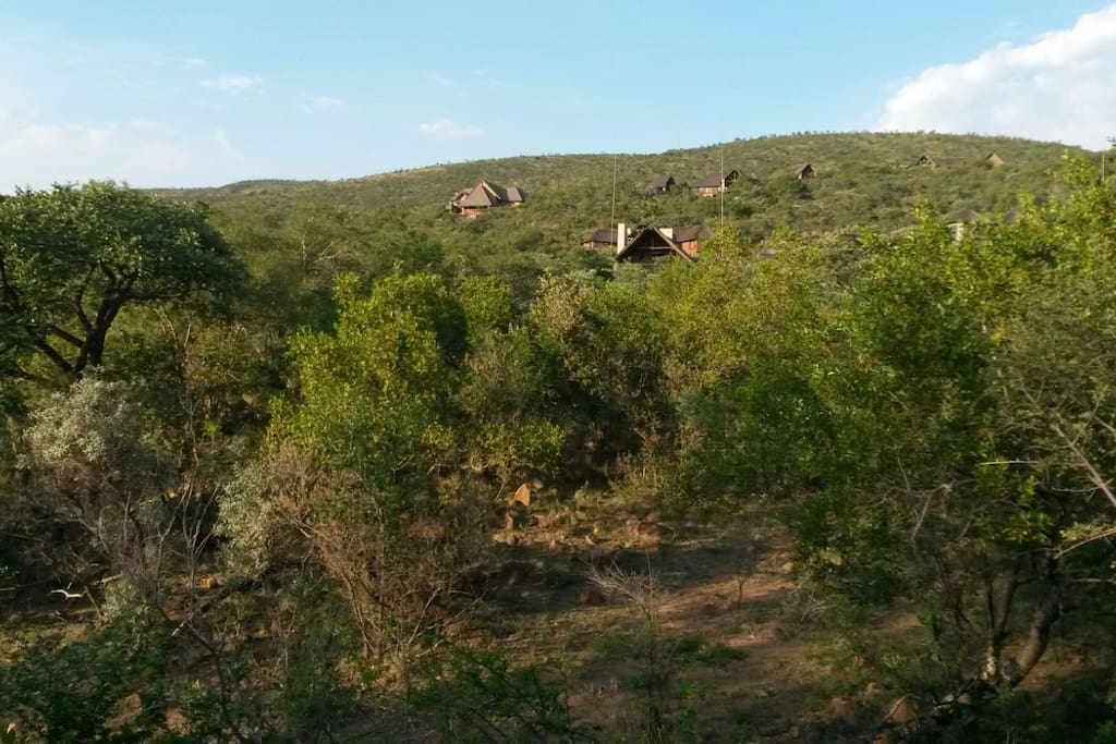 View of house in the Mabalingwe bush.