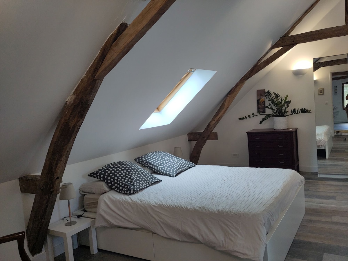 A spacious bedroom features a large bed with patterned pillows and a light duvet. Exposed wooden beams on the sloped ceiling add character. A sleek nightstand with a lamp is positioned beside the bed, and a leafy plant decorates the corner, enhancing the serene atmosphere.