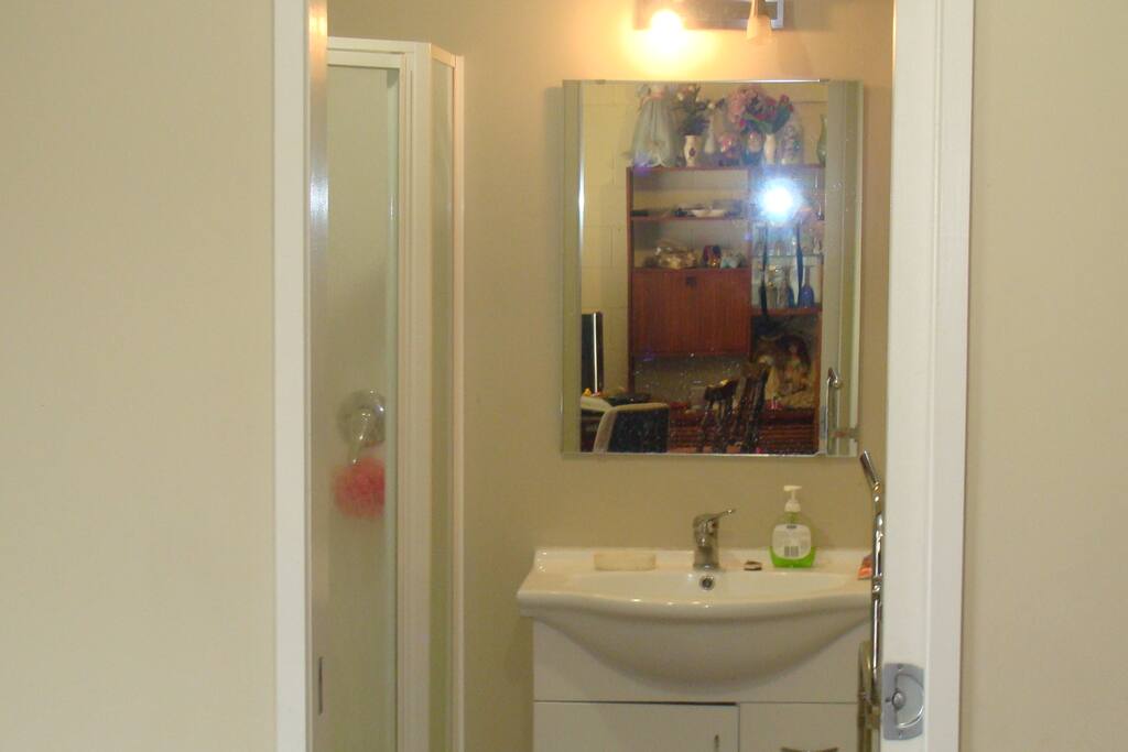 this is the guests bathroom.