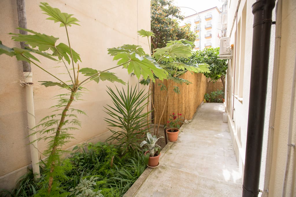 Viale d'ingresso