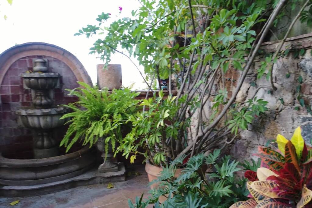 Casita Colibri