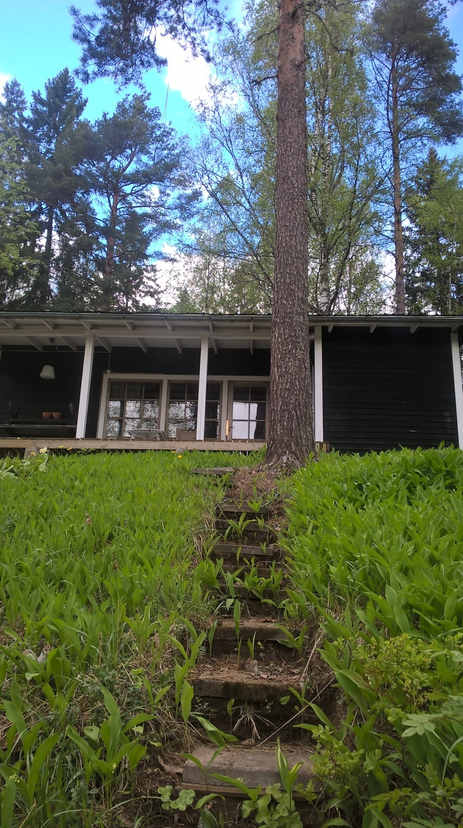 The image captures a view of a cabin nestled among trees, with green grass and foliage leading to a set of stone steps. The cabin features a covered porch with large windows, allowing natural light to enter the space.