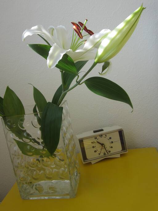 wake up, flowers, sun, bed, room, books, sleep, forest, quiet