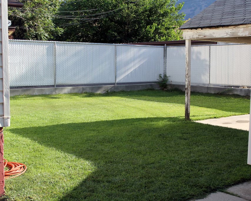 Backyard