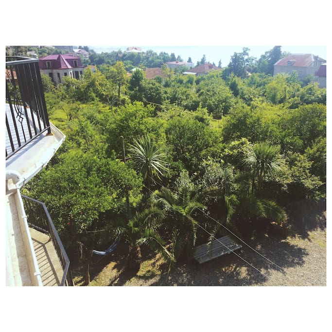 garden view from balcony. vid iz balkona.