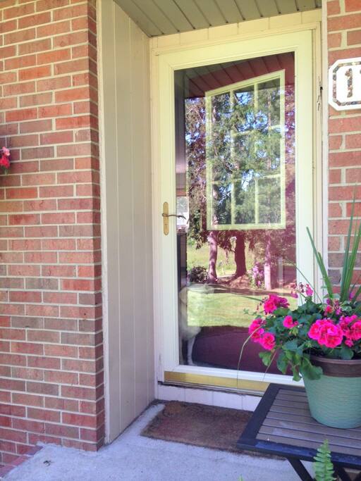 Front door - Can you spot Sugar?