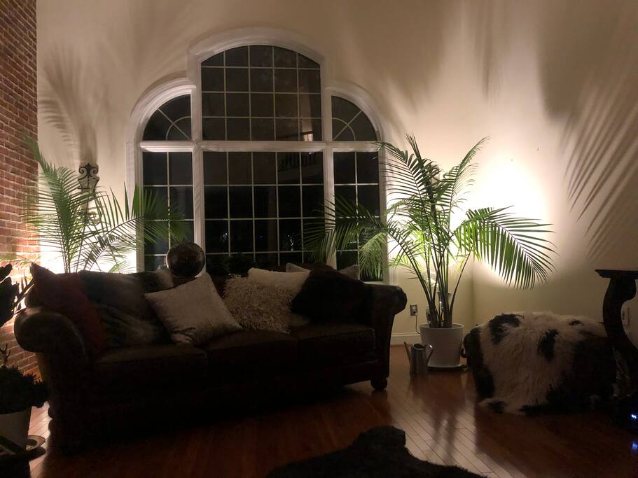 Living room.