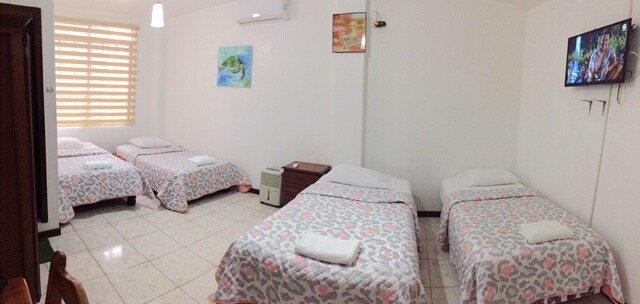 A spacious room is designed for comfort, featuring four beds covered with light-patterned linens. A television is mounted on the wall, and a small wooden nightstand is positioned next to one of the beds. Natural light filters through the slatted window, illuminating the white walls.