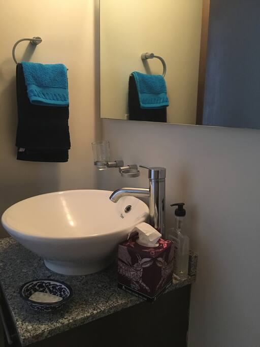 Guest bathroom