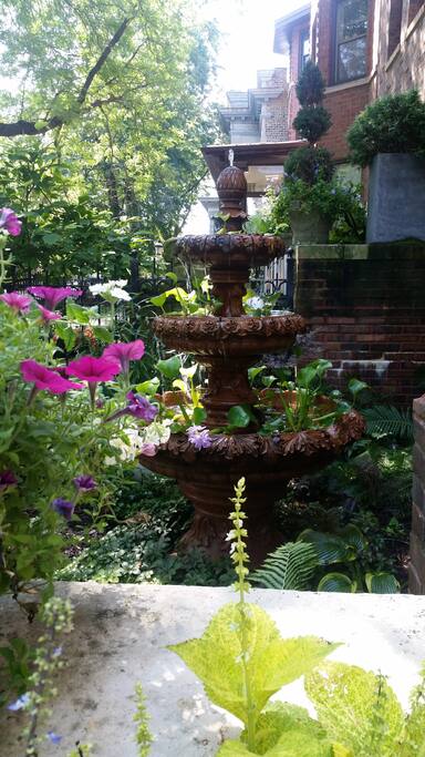 FRONT GARDEN # 2