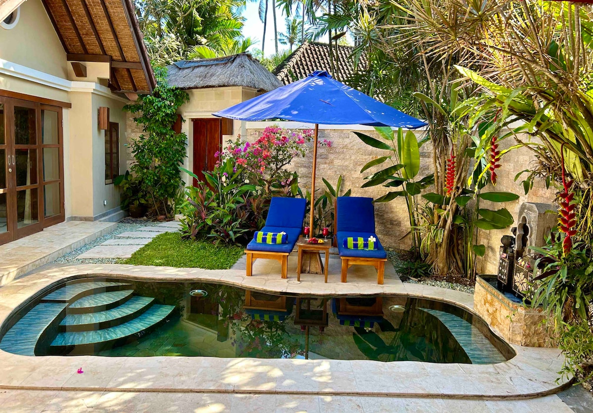 A private outdoor space features a small pool surrounded by vibrant tropical greenery. Two lounging chairs with blue cushions are positioned under a large umbrella, inviting relaxation. Decorative plants add color and texture to the tranquil setting, enhancing the enjoyable atmosphere.