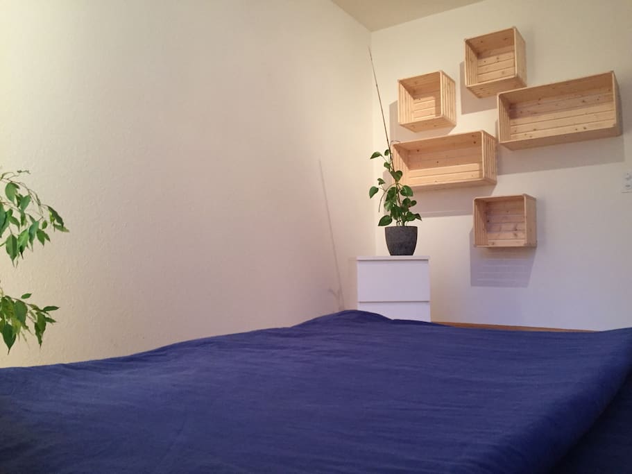 Living/Bedroom