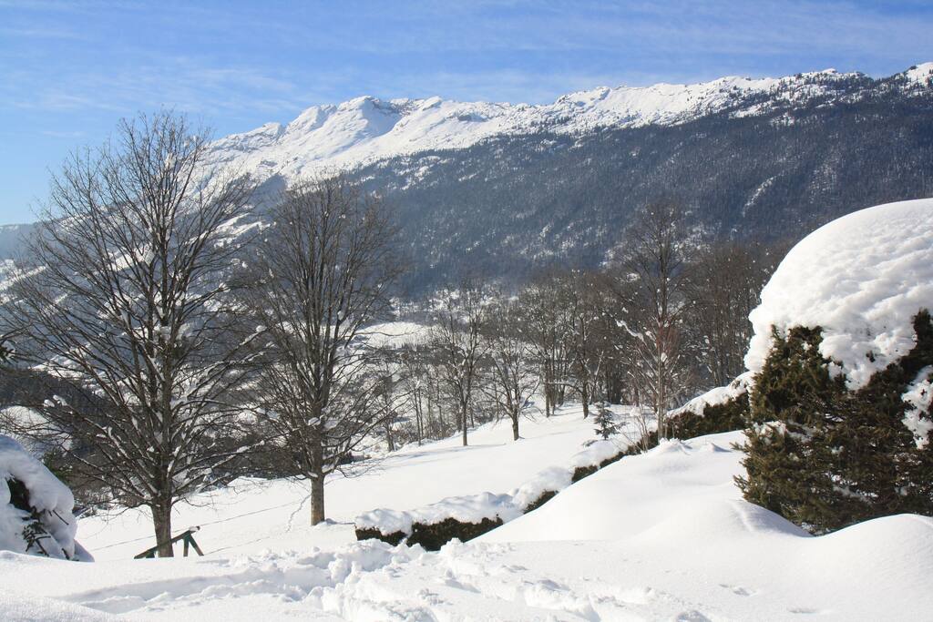 Vue dégagée de la terrasse