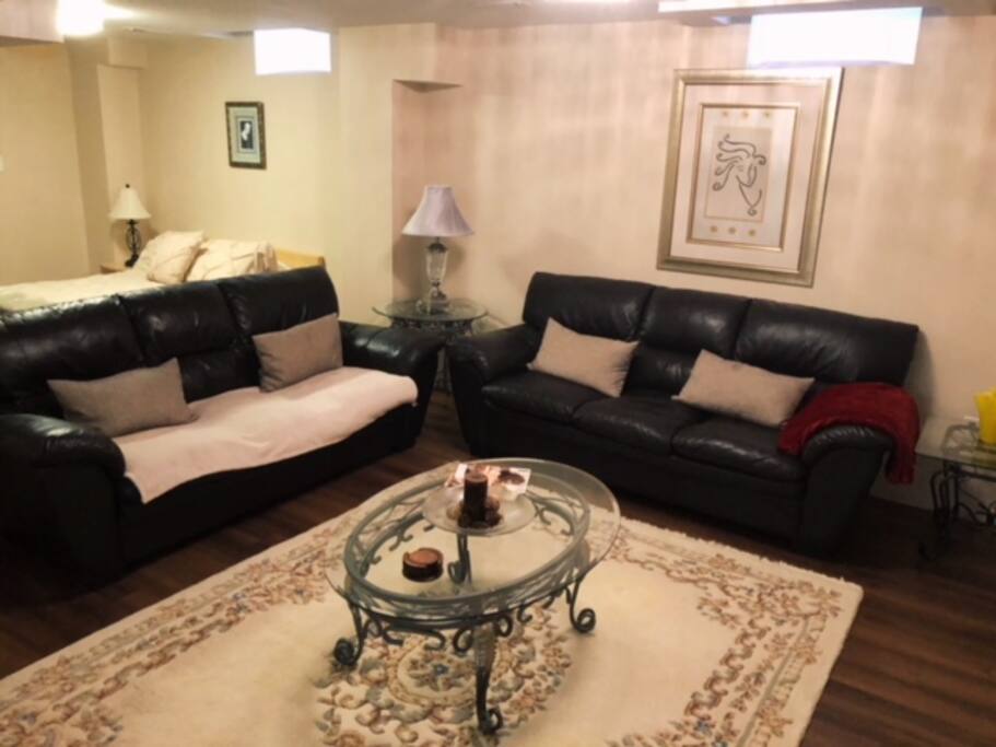 2 comfy couches