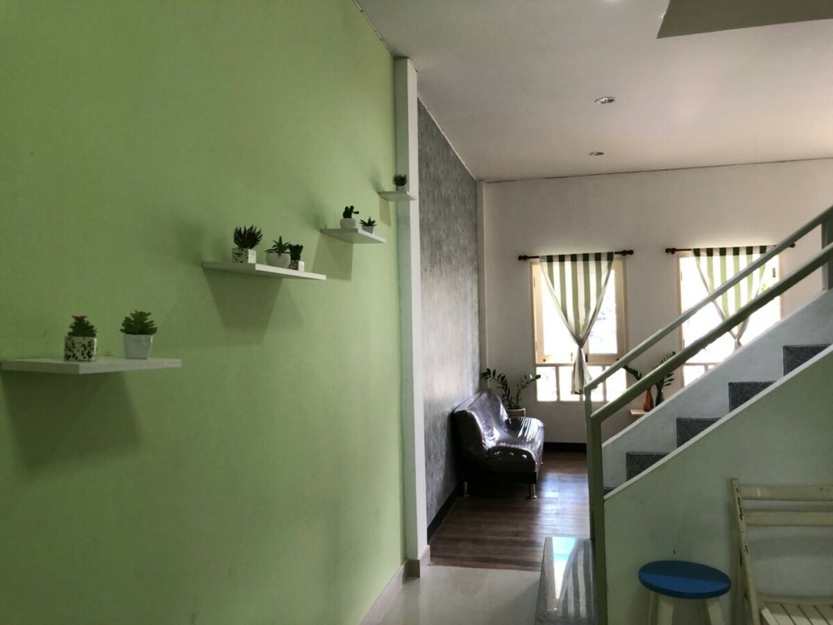 A welcoming hallway features light green walls and small shelves with potted plants. A dark sofa is positioned against the wall, while two windows with striped curtains allow natural light to fill the space. A staircase is visible in the background.