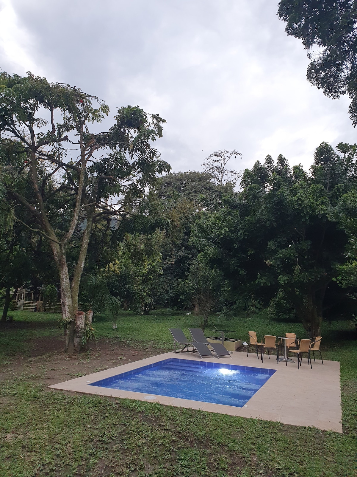 A small outdoor pool is set on a tiled patio, surrounded by lush greenery. Two sun loungers are positioned beside the pool, and a dining table with four chairs offers a space for outdoor meals. Towering trees provide natural shade in the area.
