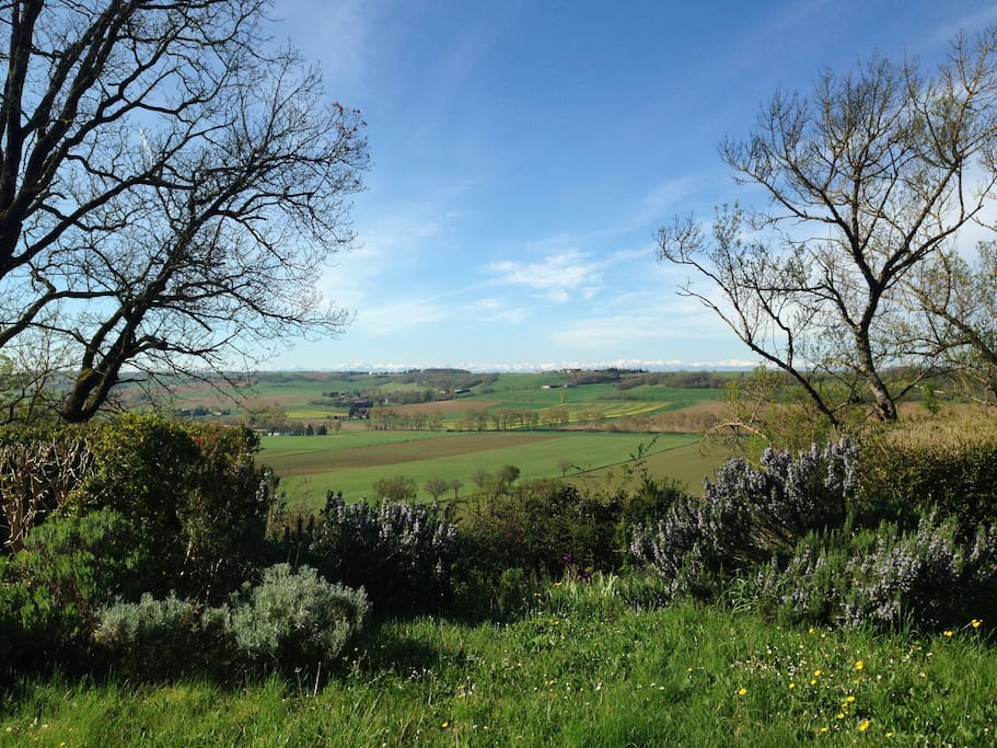 la vue panoramique sur les Pyrénées