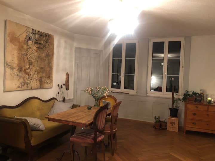 New apartment in the Mattenhof room in old building apartment