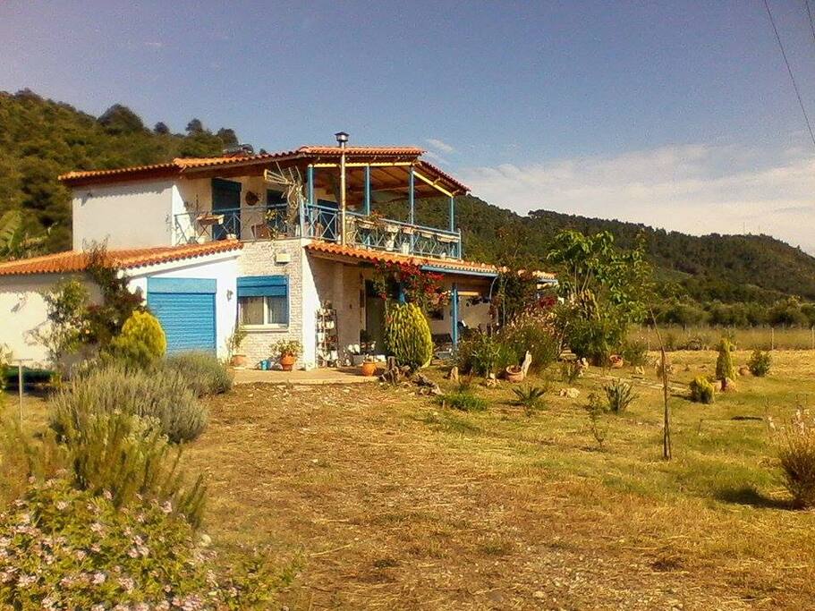 View while enter the property