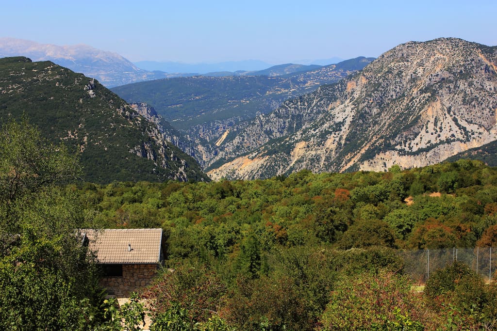 View
