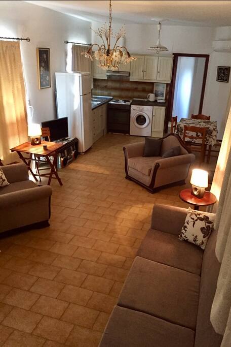 Main living room with couch-bed