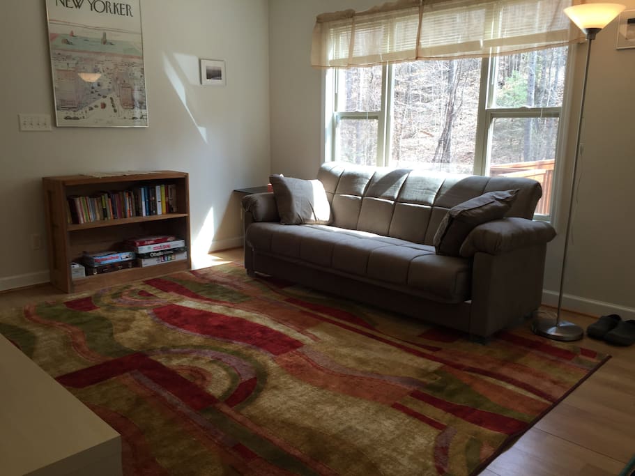 Bright scenic Living Room. Sofa converts to a full size bed