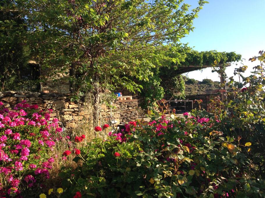 view of Bella Vista from the garden