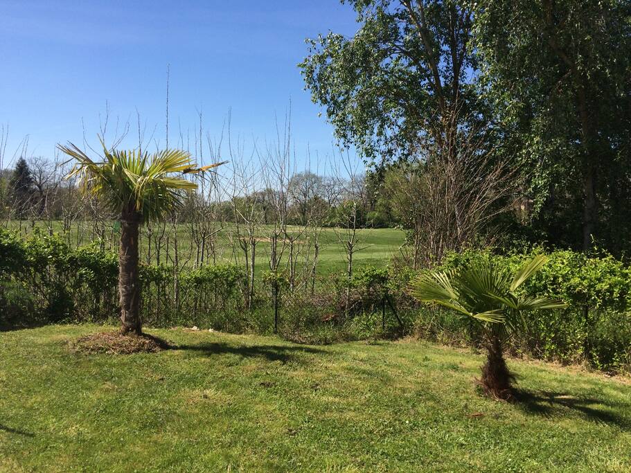 Jardin