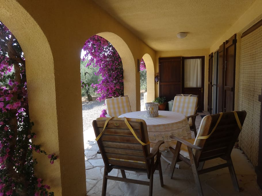 Studio terrace