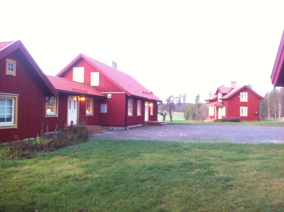 The compound.