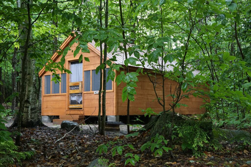 Deluxe Cabin #42, sleeps 8-10 $45 minimum, $22 each additional adult,