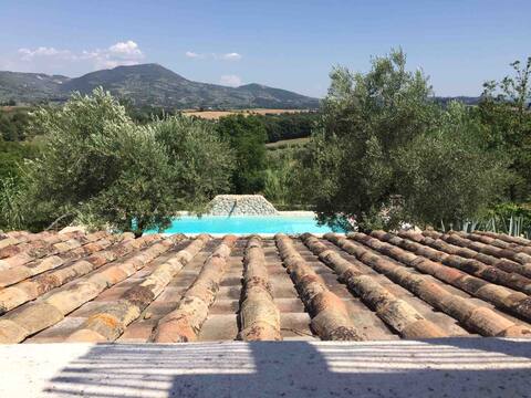 Pool&Vineyards south of Rome