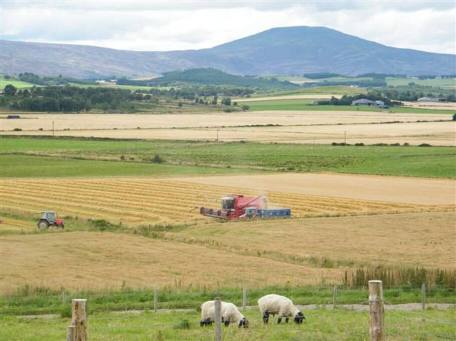 The stunning view from the property of Morven.