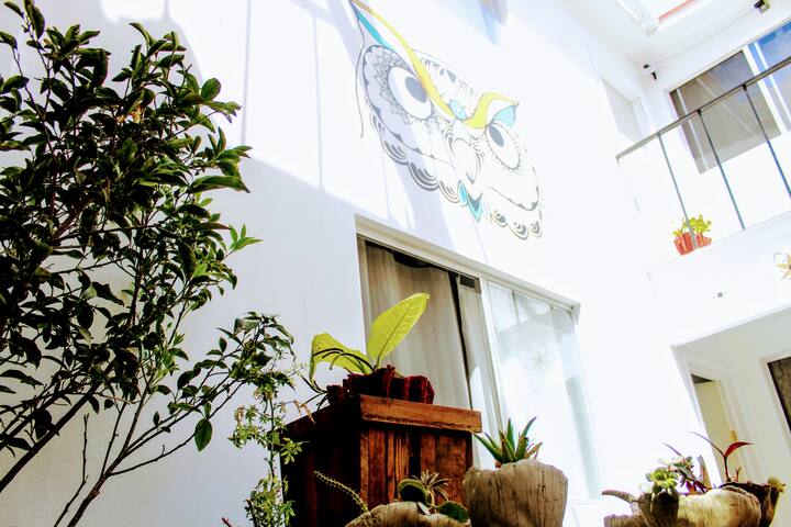 S1-Minimalistic spot at the heart of downtown TJ