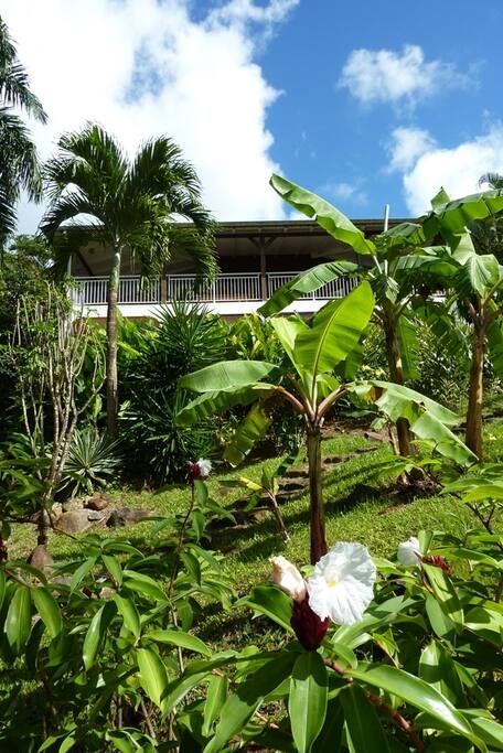 Le gîte est au rdc de notre villa, mais totalement isolé et indépendant (entrée séparée)
