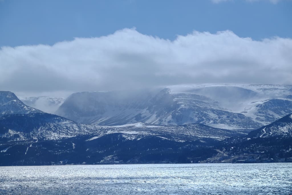 The Little Wild Tiny houses for Rent in Norris Point, Newfoundland