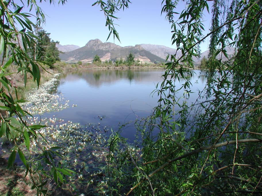 spring fed dam for swimming and fishing