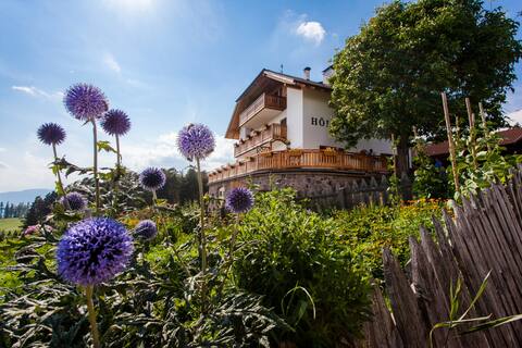 Sonniger Hof  mit herrlichem Panoramablick