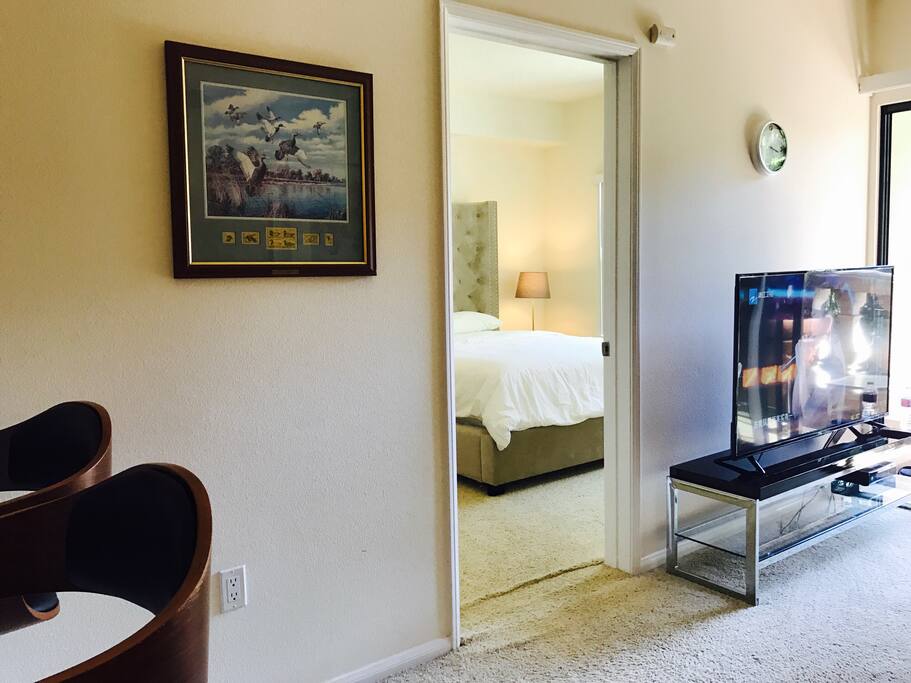 Living room with sofa bed and Smart TV!