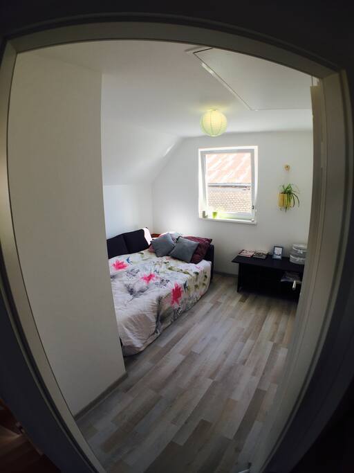 The room from the corridor