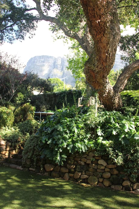 Views from the verandah and garden on to Table Mountain (and the trampoline)