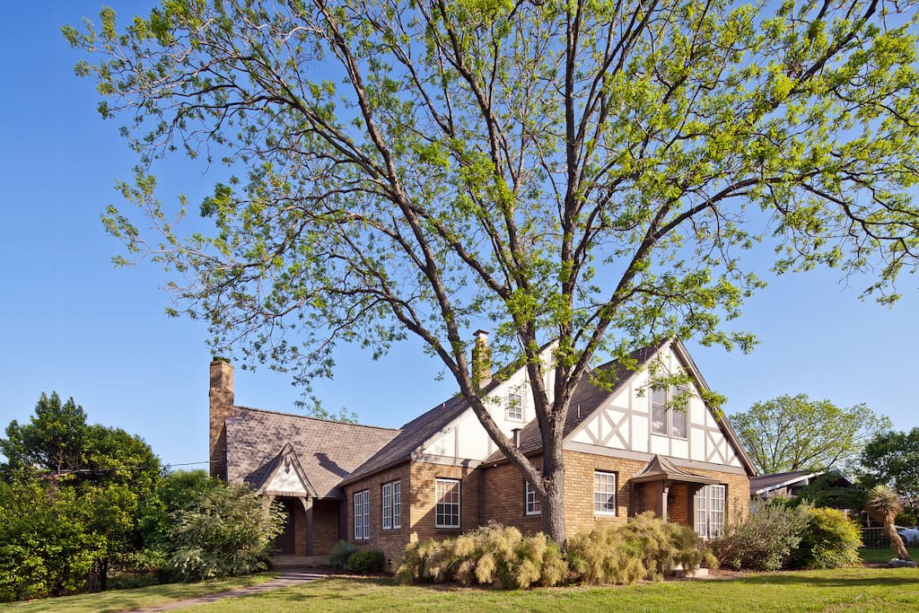 large pecan tree shades house