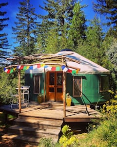 Mountain+Top+Yurt+in+the+Redwoods