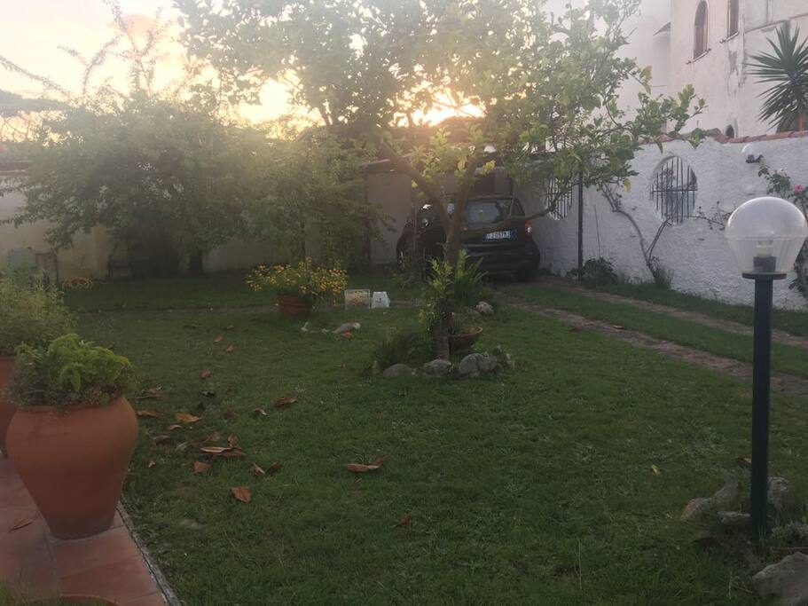 Garden