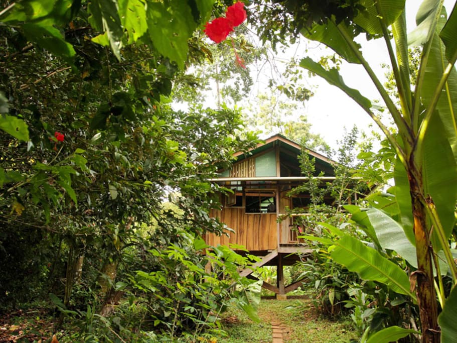 Pantai Cabin