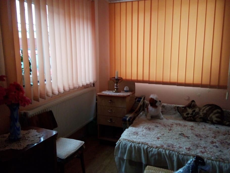 room p5