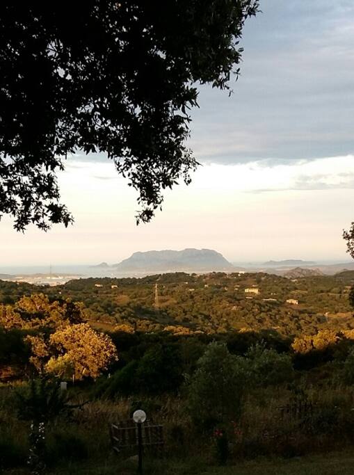 ...laggiù, Tavolara