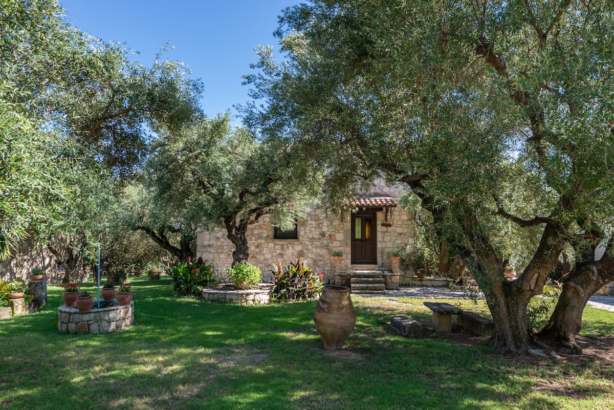 A charming stone building is nestled among olive trees in a lush garden. Terracotta pots filled with vibrant plants surround the entrance. A stone path leads to the door, framed by well-maintained greenery and shaded areas that invite relaxation.